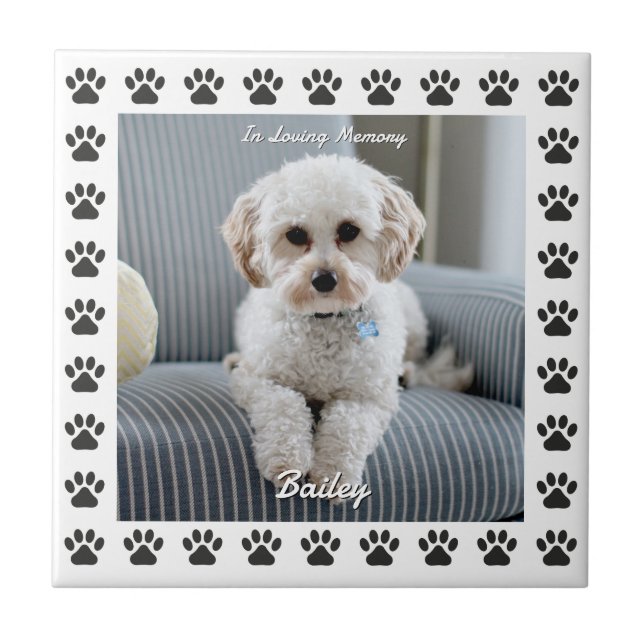 Dog's Photo, Name, In Loving Memory, Paw Prints 2 Tile (Front)