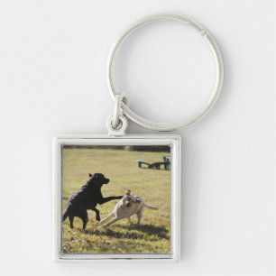 Dogs playing keychain