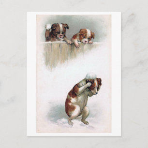 "Dogs playing Snowballs" Vintage Postcard