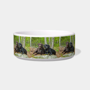 Dogs Puppies Black Lab Chocolate Labrador Retrieve Bowl