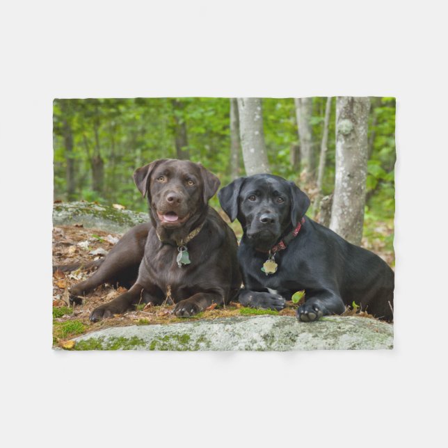 Dogs Puppies Black Lab Chocolate Labrador Retrieve Fleece Blanket (Front (Horizontal))