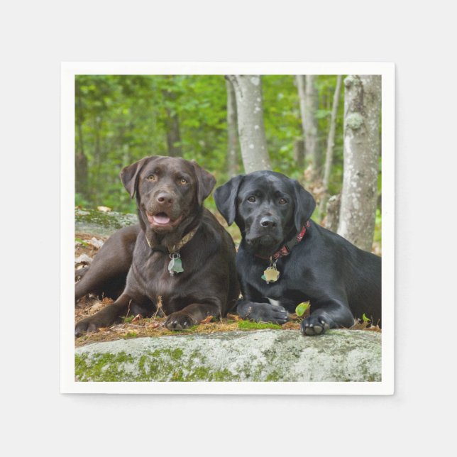 Dogs Puppies Black Lab Chocolate Labrador Retrieve Napkin (Front)