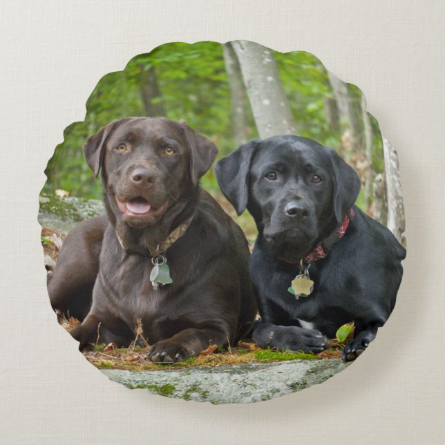 Dogs Puppies Black Lab Chocolate Labrador Retrieve Round Pillow (Front)