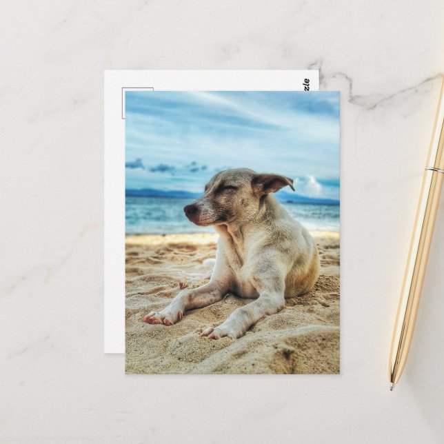 Dog's Relaxing Day at the Beach, Ocean Sand & Sun Postcard (Front/Back In Situ)