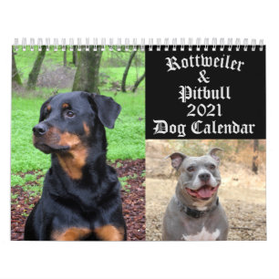 Dogs Rottweiler and Pitbull Dog Calendar