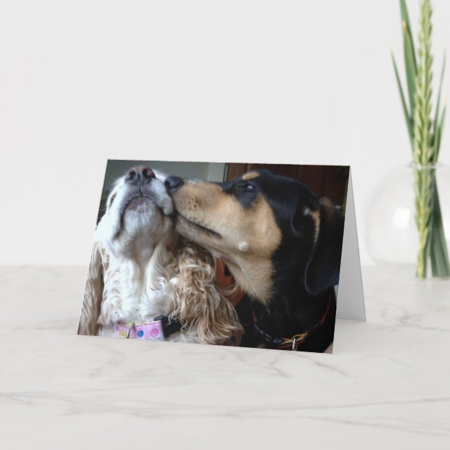 DOGS SAY TRUE LOVE-ALL YOU NEED-HAPPY ANNIVERSARY CARD (Front)
