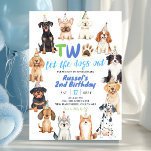 Dogs Second Birthday Invitation