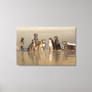 Dogs sitting on beach canvas print