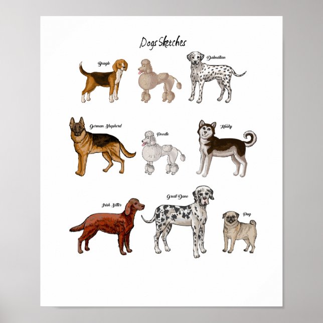 Dogs Sketches Poster (Front)