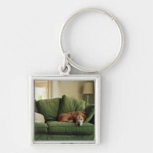 Dogs sleeping on sofa keychain