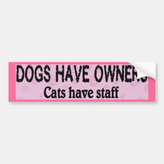 Dogs vs. Cats Bumper Sticker