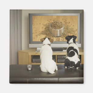 Dogs watching dog dish with food on TV Magnet