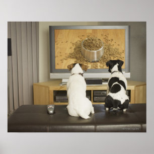 Dogs watching dog dish with food on TV Poster