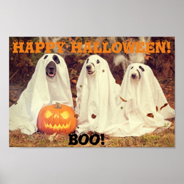DOGS WEARING GHOST COSTUMES HALLOWEEN POSTER (Front)