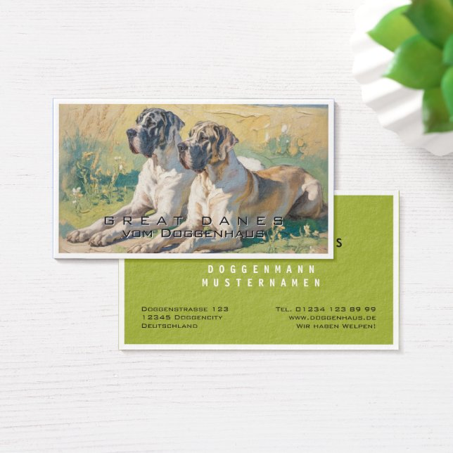 Dogue allemand  (Bureau)