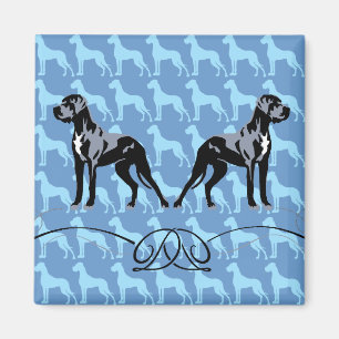 Dogue allemand aimant