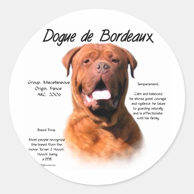 Dogue de Bordeaux History Design Classic Round Sticker (Front)
