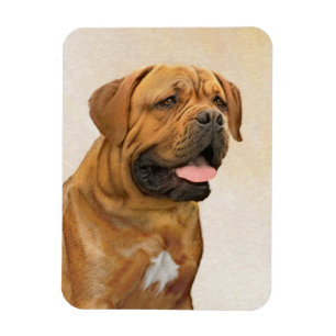 Dogue de Bordeaux Painting - Cute Original Dog Art Magnet