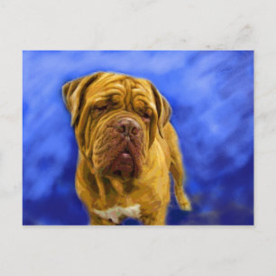 Dogue de Bordeaux Postcards