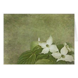 Dogwood