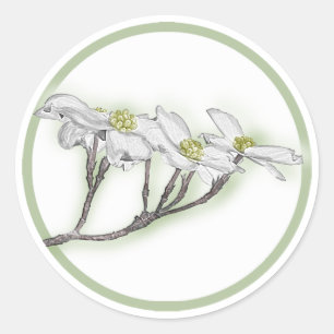 Dogwood Blooms Classic Round Sticker