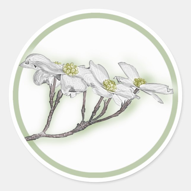 Dogwood Blooms Classic Round Sticker (Front)