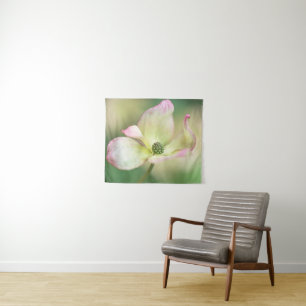 Dogwood Blossom   Cornus Kousa 'Miss Satomi' Tapestry