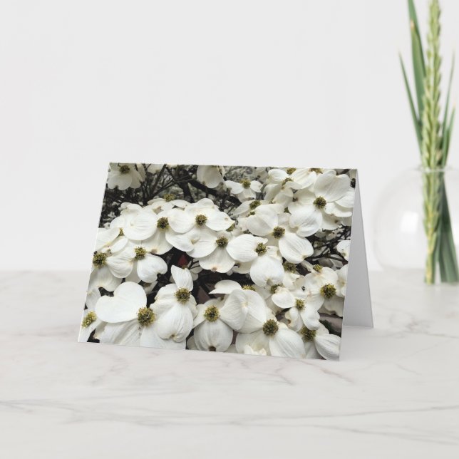 Dogwood Blossom floral greeting card (Front)