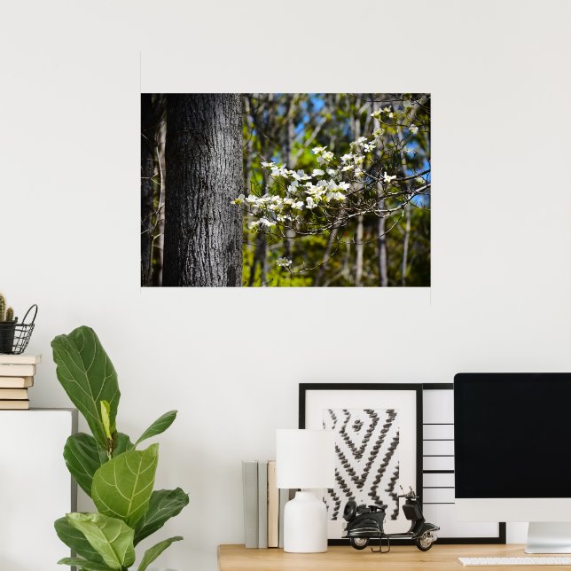 Dogwood Blossom,  Poster (Home Office)