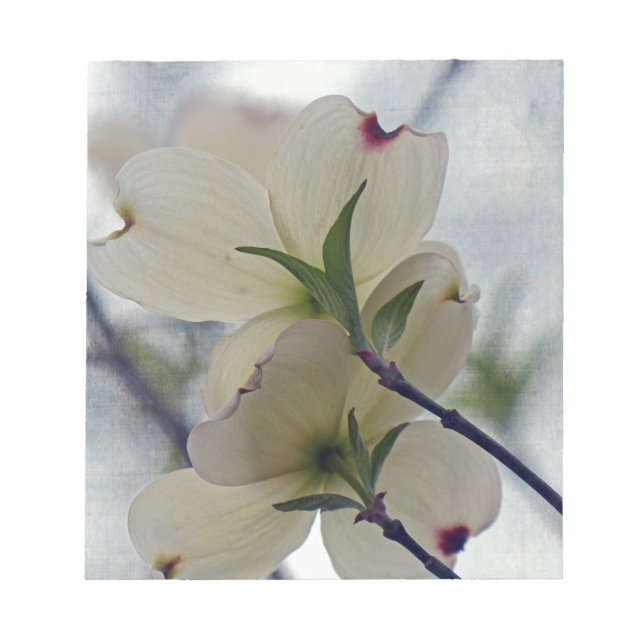 Dogwood Blossoms Notepad (Front)