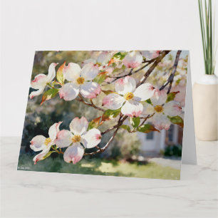 Dogwood Blossoms Study B In Watercolors Card