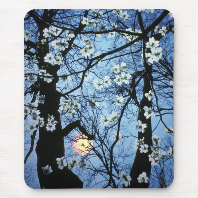 Dogwood blossoms with sunset mouse pad (Front)