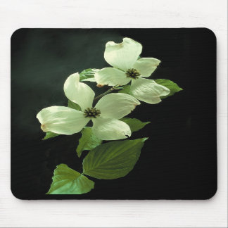 Dogwood Blossum Mousepad