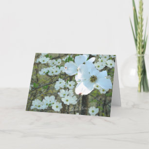 Dogwood branch-add your words for any occasion card