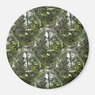 Dogwood Bubbles..... Magnet