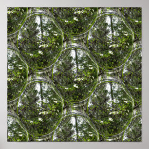 Dogwood Bubbles.... Poster