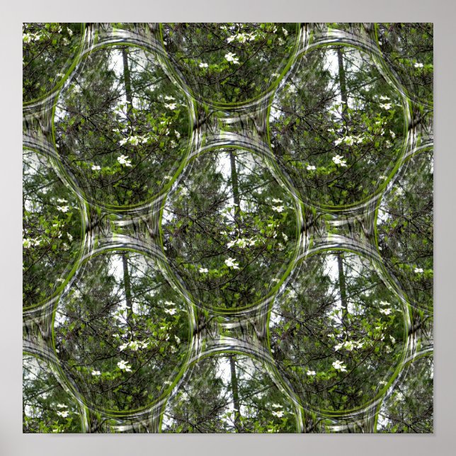 Dogwood Bubbles.... Poster (Front)