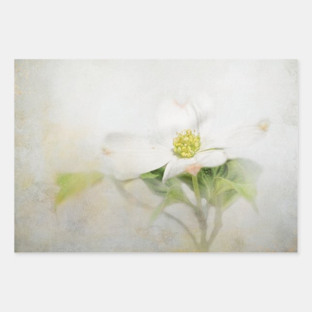 Dogwood Floral Art découpage papier (Devant)
