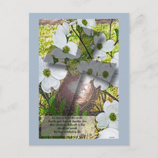Dogwood Flower and Cross avec John 3:16 Carte post