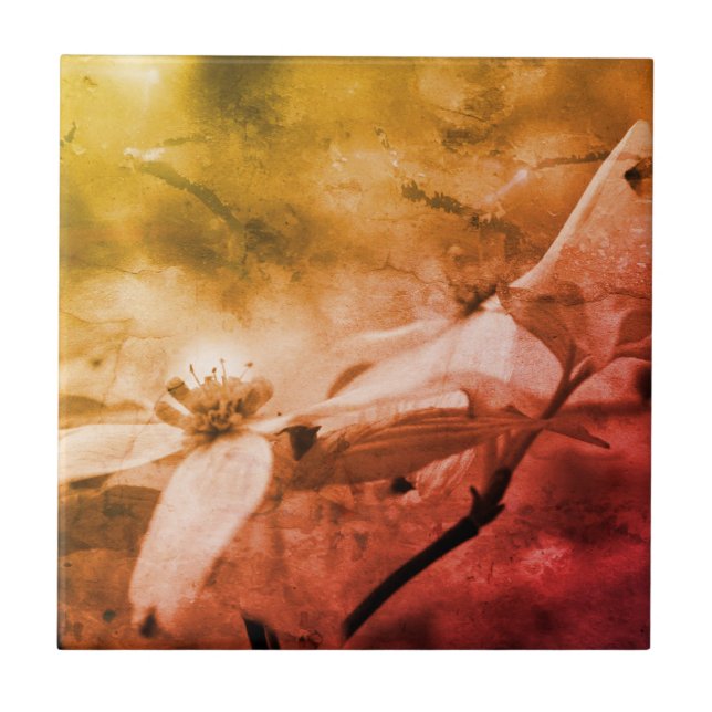 Dogwood Flower Black And White Vintage   Tile (Front)