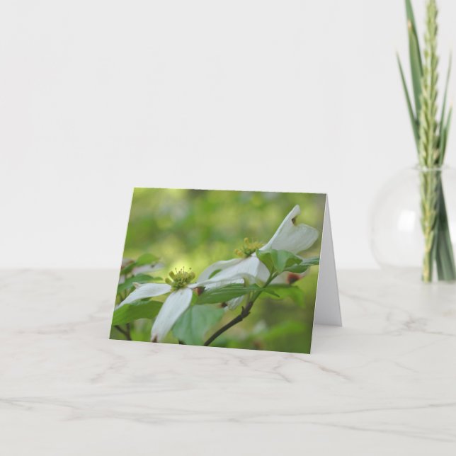 Dogwood Flower Blossoms Personalized  Note Card (Front)