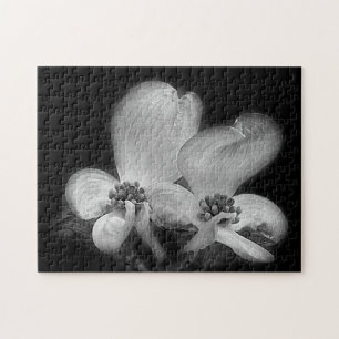Dogwood Flowers In Black And White Nature Jigsaw Puzzle