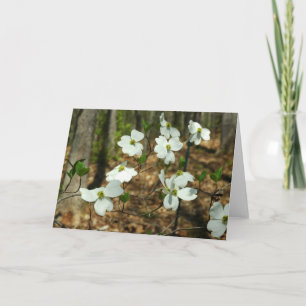 Dogwood Greeting Card