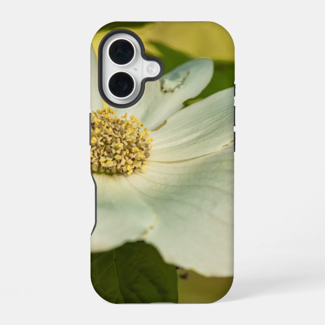 Dogwood iPhone 16 Case (Back)
