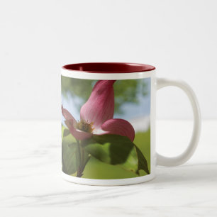 dogwood mug