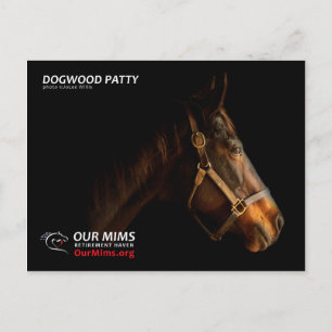 Dogwood Patty postcard