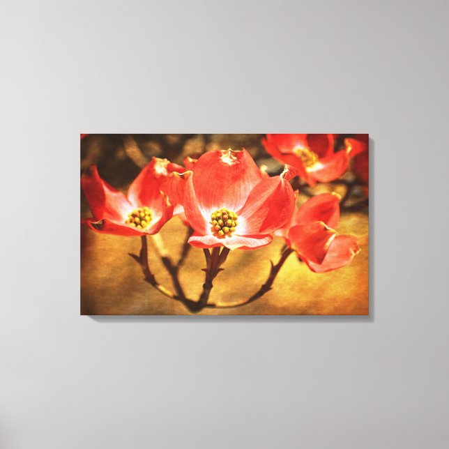 Dogwood Spring Flowers Canvas Print (Front)