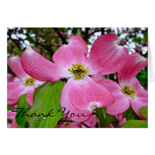 Dogwood Thank You Card