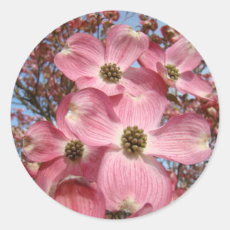 Dogwood Tree Flowers stickers Pink Dogwoods