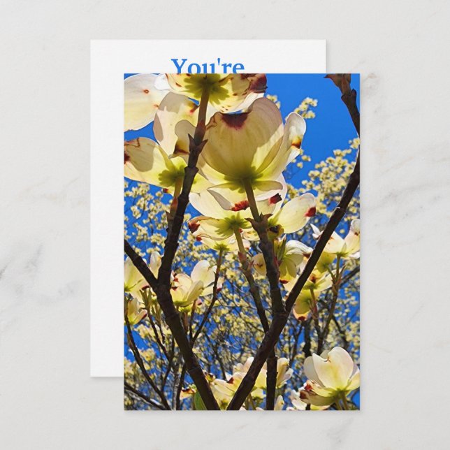 Dogwood Tree Invitation (Front/Back)